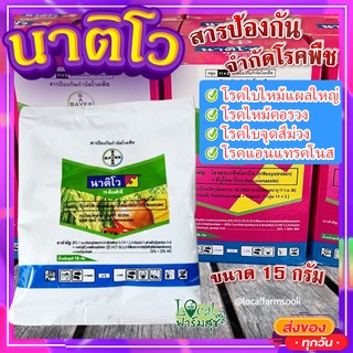 นาติโว 75 ดับบลิวจี 🍃 สารป้องกันกำจัดโรคพืช โรคไหม้ โรคใบจุด โรคแอนเทรคโนส ขนาด 15 กรัม