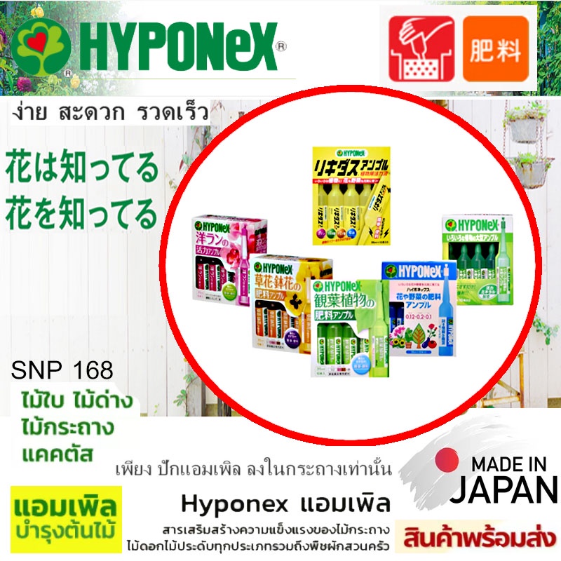 HYPONEX แอมเพิล ปุ๋ยปักลงกระถาง ปุ๋ยปัก hyponex มี 3 สูตร 10 หลอดต่อกล่อง (Hyponex Ampoule) ปุ๋ยปักญี่ปุ่น ปุ๋ยปักดิน