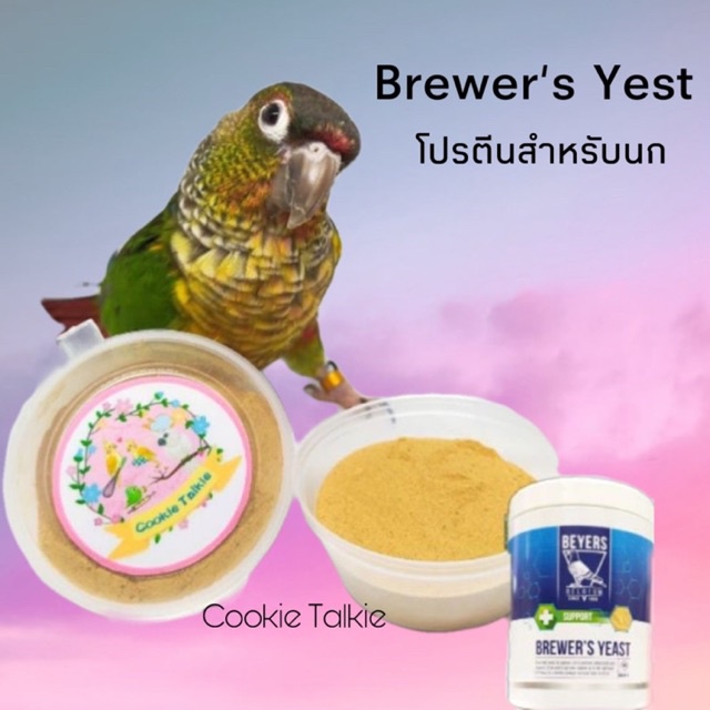Brewer's Yeast (Protiena) โปรตีนจากยีสต์สำหรับนก  25 กรัม 100 กรัม