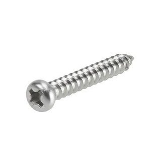 อุปกรณ์ยึดติด สกรูเกลียวปล่อย TP 3.5X25 มม. 25 ตัว Screws, Nuts &amp; Washers