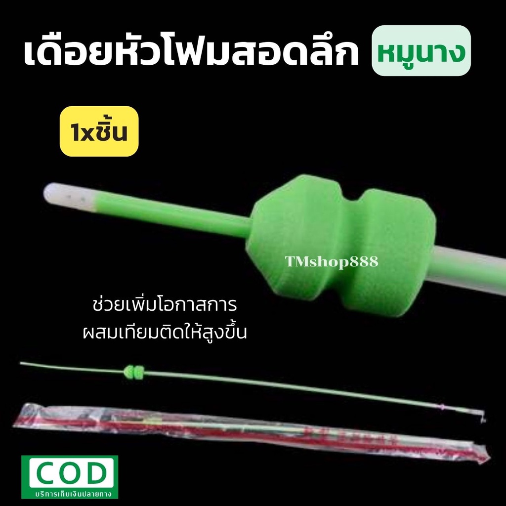 1อัน เดือยผสมเทียมสุกร แบบลึก สุกรนาง ราคาถูก MyStore - taengmo_mo ...