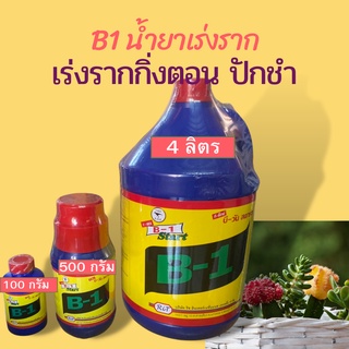 พร้อมส่ง ของแท้ B-1 Start บี-วัน สตาร์ท ขนาด 100cc และ 500c น้ำยาเร่งราก เร่งรากกิ่งตอน ปักชำ กระตุ้นการแตกราก แตกรากพืช