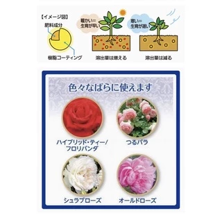 ❗️พร้อมส่ง❗️ปุ๋ยบำรุงกุหลาบ my rose ขนาด 700 g