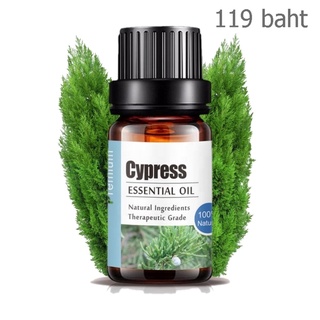 Aliztar 100% Pure Cypress Essential Oil 10 ml น้ำมันหอมระเหยไซเปรส สำหรับอโรมาเทอราพี เตาอโรมา เครื่องพ่นไอน้ำ ผสมน้ำ...