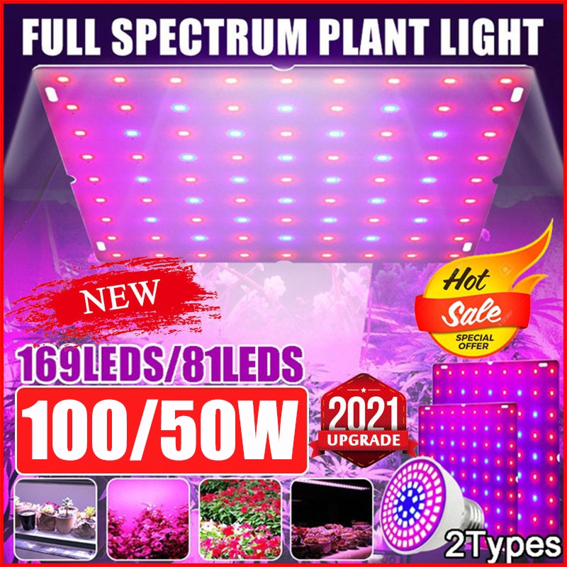 220V Full Spectrum LED Grow Light 50W/100W ไฟปลุกต้นไม้ ไฟช่วยต้นไม้ตัวเร็ว