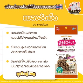 [Hi Hamster] แมลงอัดเม็ด มารุคัง สำหรับชูการ์ไกลเดอร์ กระรอก แฮมสเตอร์ เม่นแคระ