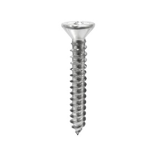 อุปกรณ์ยึดติด สกรูเกลียวเหล็ก TF BYTORA 7x3/4 นิ้ว 30 ตัว Screws, Nuts &amp; Washers