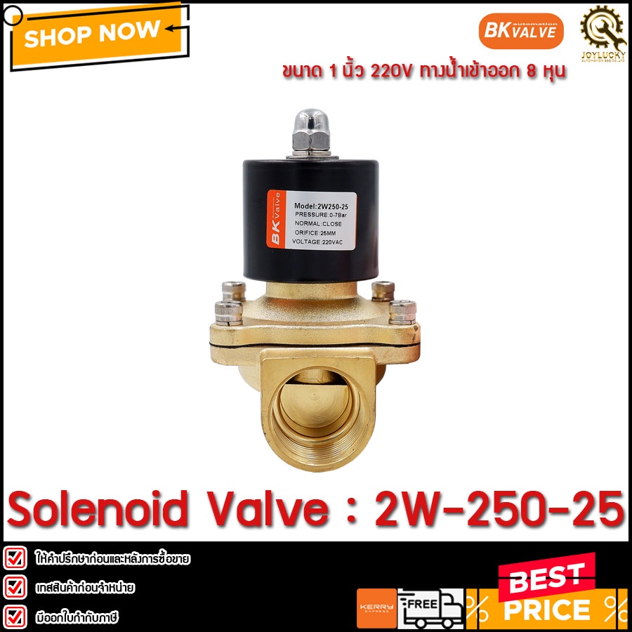 Solenoid Valve BK 2W-250-25,220V**TH