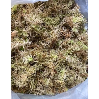 สแฟกนั่มมอส fresh (sphagnummoss) 200 กรัม