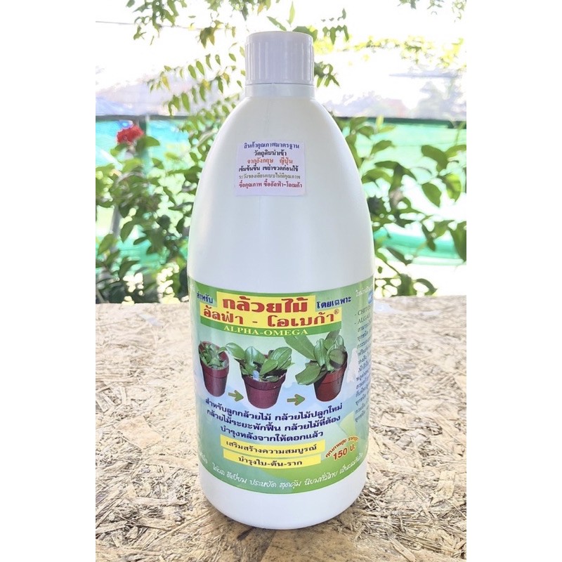 อันดับหนึ่ง 100+ ภาพ อัลฟ่า โอเมก้า เบต้า สัญลักษณ์ ใหม่ที่สุด