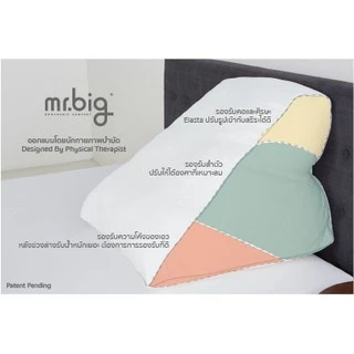 mr.big GERD Pillow หมอน Ergonomic สำหรับผู้ป่วยกรดไหลย้อน ปรับระดับได้ พร้อมปลอกถอดซัก