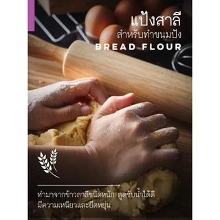 แป้งขนมปัง ตราหงส์ขาว(ห่าน), ยานอวกาศ, แต้มแดง, นกอินทรีย์