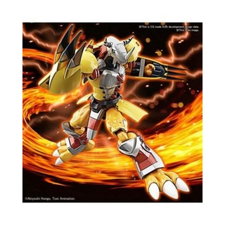 [พร้อมส่ง] Digimon Figure Rise Standard Wargreymon Plastic Model