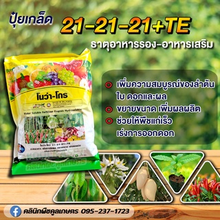 ปุ๋ยเกล็ด 21-21-21+ET 1กิโลกรัม เพิ่มความบูรณ์ของลำต้น+ใบ+ดอก+ผล ขยายขนาดเพิ่มผลผลิต ช่วยให้พืชแก่เร็ว เร่งการออกดอก