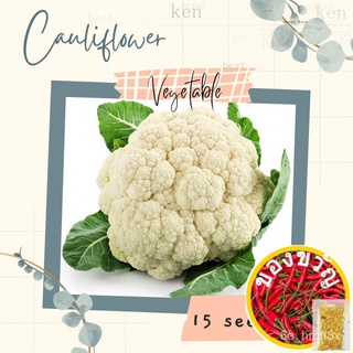 Cauliflower Seeds for Planting (15 seeds) VEGGIESผู้ชาย/พาสต้า/กระโปรง/หมวก/และผักกาดหอมหลากหลายชนิด/สวน/ดอกทานตะวัน/ผัก