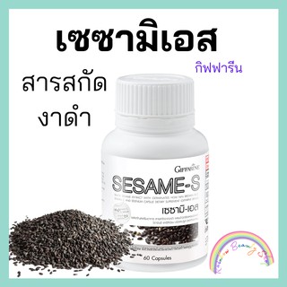 สารสกัดงาดำ เซซามินกิฟฟารีน-เซซามิน  งาดำสกัด เซซามิ-เอส เพิ่มมวลกระดูก