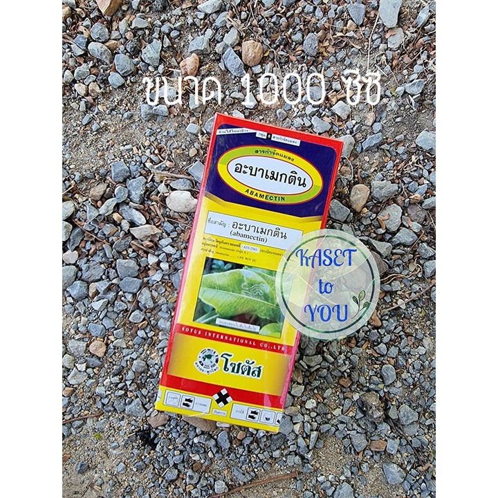 อะบาเมกติน โซตัส สูตรน้ำใส ขนาด 1000 ซีซี ป้องกันหนอนชอนใบ เพลี้ยไฟกล้วยไม้ หนอนใยผัก