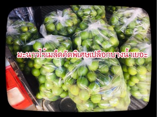 #มะนาวไร้เมล็ด #มะนาวตาฮิติ เกรดAขนาด10กิโลกรัม