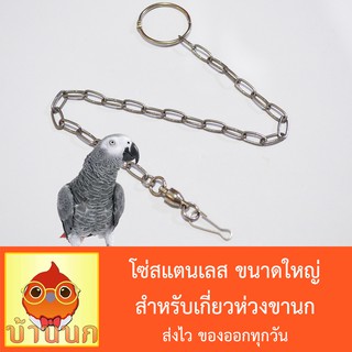 โซ่สแตนเลส สำหรับเกี่ยวห่วงขานก โซ่นก ขนาดใหญ่ (Macaw, African grey, Cockatoo, Electus)