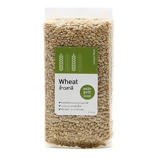 ข้าวสาลี 400g Wheat 400g