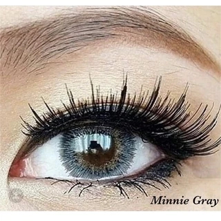 Minnie gray (Dreamcolor1)