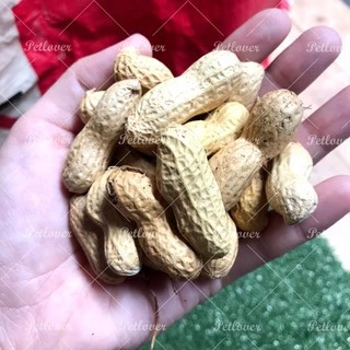 ถั่วลิสง Peanut เกรดA นำเข้า อาหารนกแก้ว อาหารหนูแฮมสเตอร์ และสัตว์ฟันแทะ (แบ่งขาย 500G / 1KG)