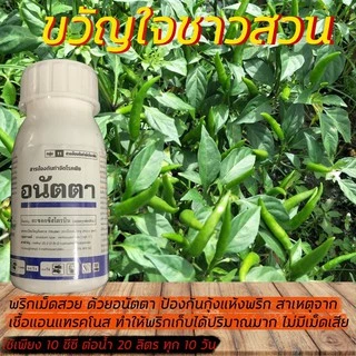 อนัตตา 1 ลิตร (1,000 ซีซี) อะซอกซีสโตรบิน (azoxystrobin) 25% กำจัดเชื้อรา โรคราดำ แอนแทคโนส ราน้ำค้าง ราแป้งทุกชนิด