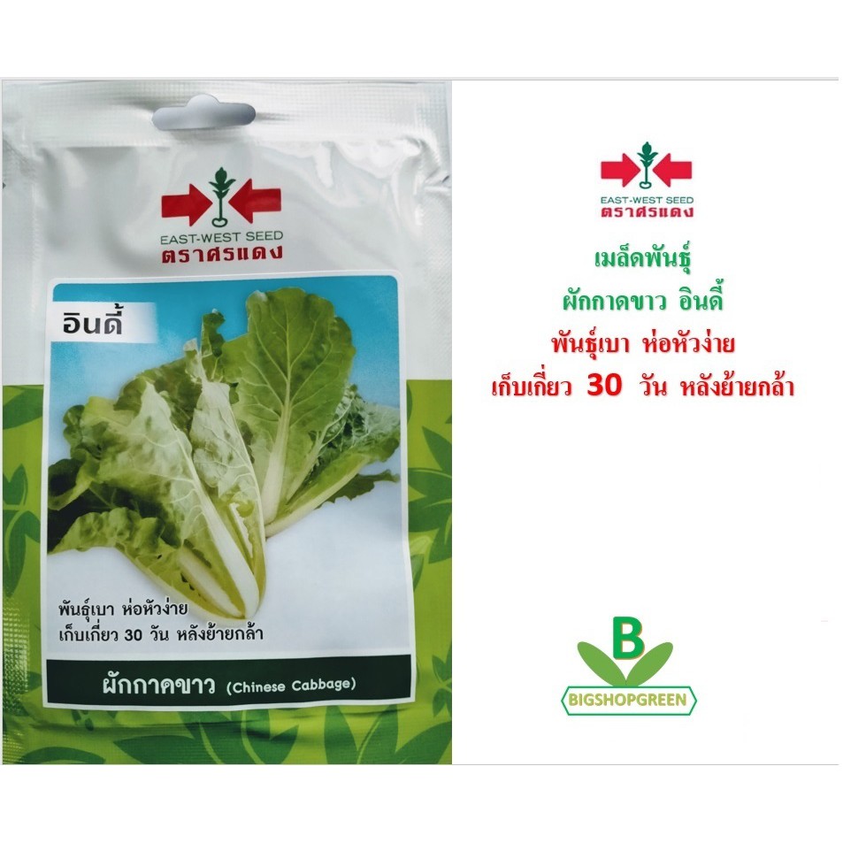 5 ฟรี 1 คละได้ เมล็ดพันธุ์ ผักกาดขาว อินดี้ ตราศรแดง เมล็ดผัก เมล็ดพันธุ์พืช เมล็ดพืช เมล็ดพันธุ์ผัก เมล็ดผัก