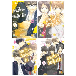 บงกช Bongkoch หนังสือการ์ตูนญี่ปุ่นชุด แสบใสวัยลุ้นรัก HONEY HOLIC เล่ม 1-4 (จบ)