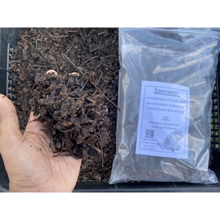 ใบมะขามหมัก ปุ๋ยใบมะขาม ปริมาณ 800 กรัม สำหรับปลูกบอนสี ไม้ประดับ และไม้ใบ ทำให้สีสดสวย