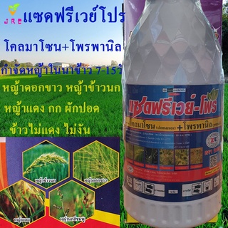 แซดฟรีเวย์โปร 1ลิตร โคลมาโซน + โพรพานิล กำจัดหญ้าในนาข้าว 7-15วัน หญ้าดอกขาว หญ้าข้าวนก หญ้าแดง หญ้ากระดูกไก่ กก ผัดปอด