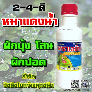 ดาราเอมีน 1 ลิตร 🛑 ดาราเอมีน หมาแดงน้ำ หมาน้ำ นาโก้ บีบีโก้ ทูโฟดี 2-4-ดี กำจัดวัชพืชใบกว้าง ผักบุ้ง ขนาด 1 ลิตร