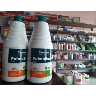 PulmoBoost Liquid พูลโมบูสท์ ลิควิด บรรเทาอาการติดเชื้อในระบบทางเดินหายใจ ช่วยฟื้นฟูสุขภาพของระบบทางเดินหายใจ