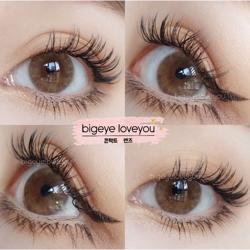 รูปภาพ 5