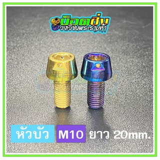 น็อตสแตนเลส หัวบัว ขนาดเกลียว m10 ยาว 20 mm.