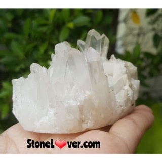 #Clear quartz Cluster #เคลียร์ควอตซ์ #หินธรรมชาติ
#เขี้ยวหนุมาน #ผลึกควอตซ์ใส