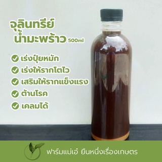 หัวเชื้อจุลินทรีย์น้ำมะพร้าว ชนิดน้ำ ขนาด 500ml. (เก็บเงินปลายทาง)