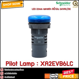 Pilot Lamp XA2EVB6LC Schneider ,สีน้ำเงิน 22mm 24VAC/VDC