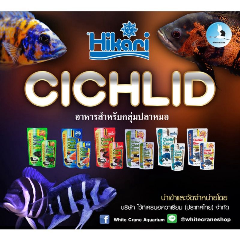 Hikari Cichlid อาหารปลาหมอ ทุกสูตร ทุกสี Bio-Gold+ / Excel เม็ดลอย/เม็ดจม / Staple / Gold เม็ดลอย/เม