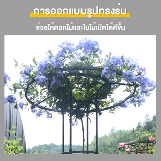 ซุ้มกุหลาบ ซุ้มกุหลาบเลื้อย โครงกุหลาบเลื้อย ซุ้มไม้เลื้อย เหล็กแข็งแรง ท่อเหล็กเคลือบ PE กันสนิม โครงเหล็กดัด