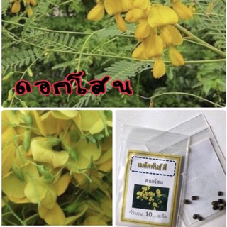 เมล็ดพันธ์ุ ดอกโสน (ซื้อ 10 แถม 1 คละอย่างได้)