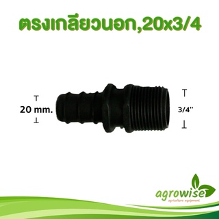 ท่อ pe ต่อตรงเกลียวนอก ข้อต่อตรง เกลียวนอก ขนาด 20mm เป็น 3/4 นิ้ว 20 มิล เป็น 6 หุน