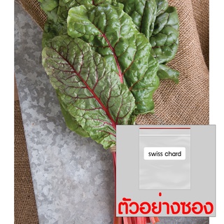 เมล็ด Swiss Chard สีแดง 40-50 เมล็ด