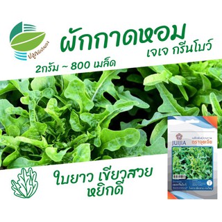 ผักสลัด กรีนโบว์ (Green Bowl)​~ประมาณ 800 เมล็ด