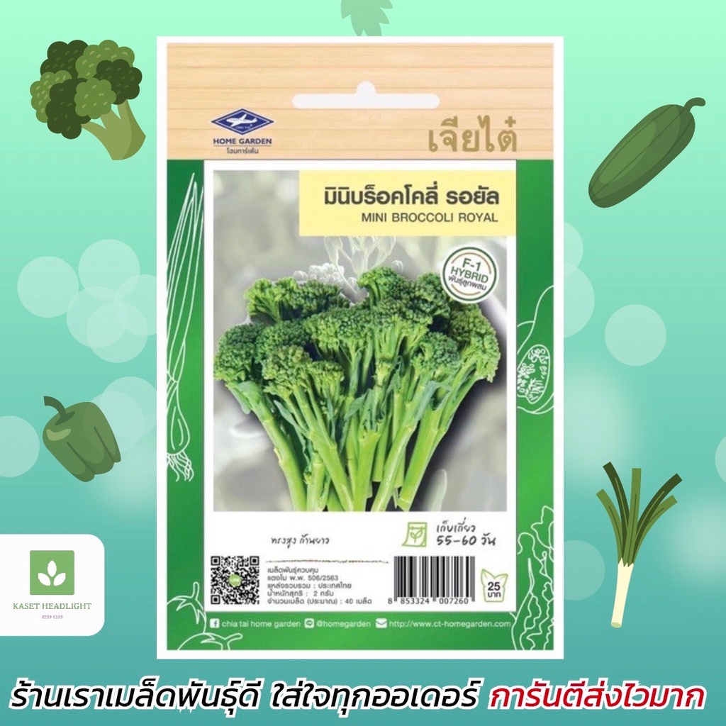 มินิบร็อคโคลี รอยัล เมล็๋ดพันธุ์บร็อคโคลี่ บร็อคโคลี เจียไต๋ mini broccoli