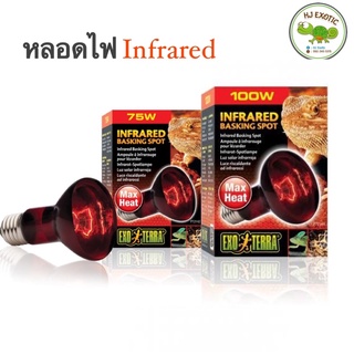 Exo Terra Infrared Basking Spot หลอดความร้อนอินฟราเรด สำหรับกกไฟกลางคืน