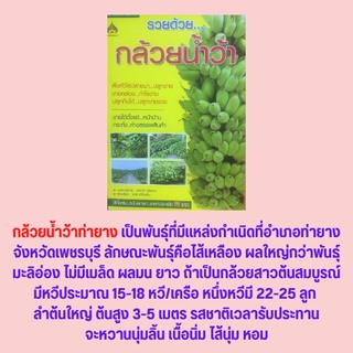 หนังสือเกษตร รวยด้วย...กล้วยน้ำว้า : ประโยชน์ของกล้วยน้ำว้า สายพันธุ์กล้วยน้ำว้า หลักการปลูกกล้วยน้ำว้า การขยายพันธุ์