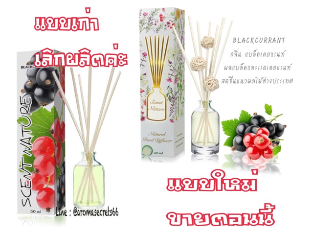  กลิ่นฮิต  แบล็คเคอแรนท์ Blackcurrant ก้านไม้หอมปรับอากาศ 50ml. Scent Nature เซนต์เนเจอร์