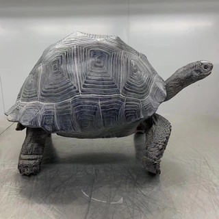 โมเดลอัลดาบราเรซิ่น Aldabra Tortoise Model