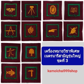 ป้ายเครื่องหมายวิชาพิเศษ เนตรนารีสามัญรุ่นใหญ่ ชุดที่ 3